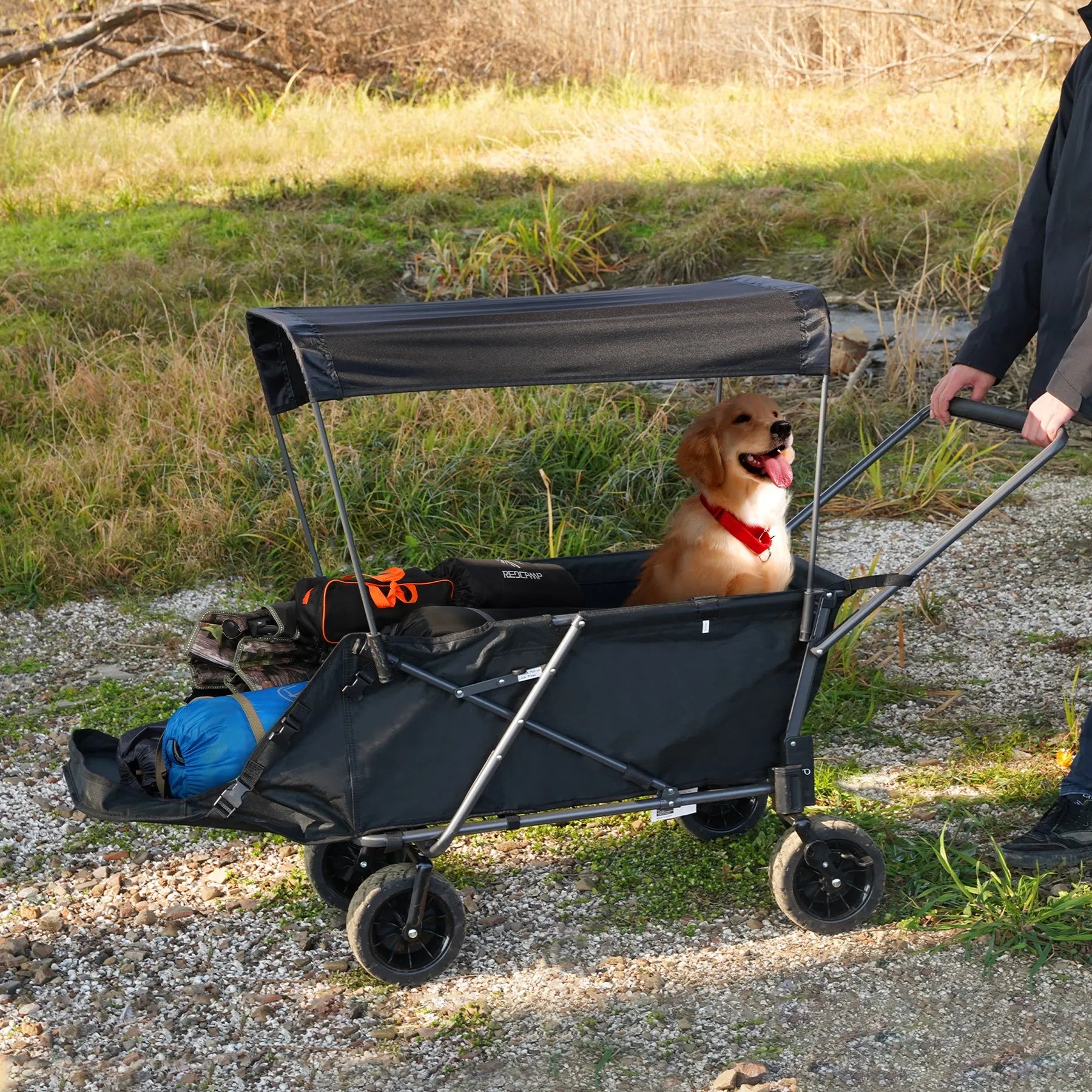 Dog Wagon for Large Dogs - Redcamp