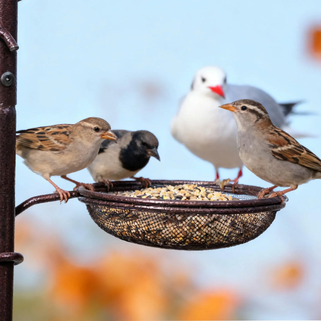 69" L Bird Feeding Station with 4 Feeder Hanging Poles, Wild Bird Feeder Stand Pole for Outside, Multi Feeder Pole Stand Kit for Attracting Wild Birds